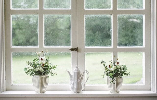 flower on windowpane