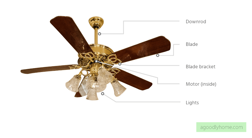 ceiling fan anatomy