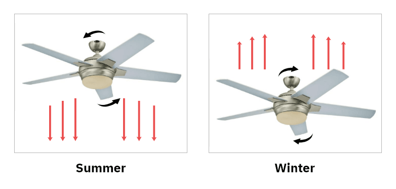 Ceiling fan direction in summer and winter