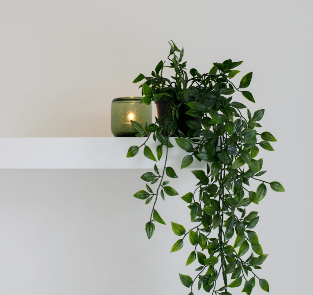 flower on wall shelf