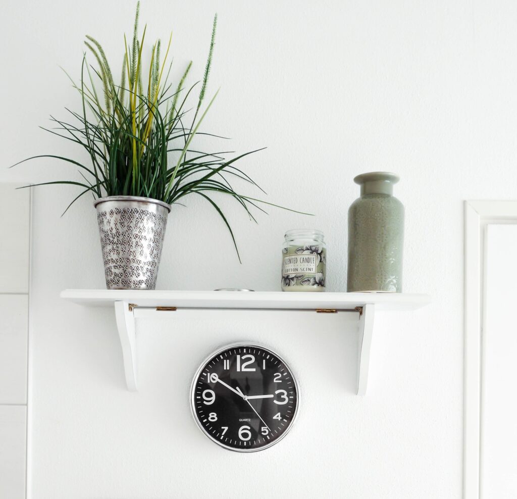 wall shelf, clock, and plant