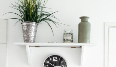 wall shelf, clock, and plant