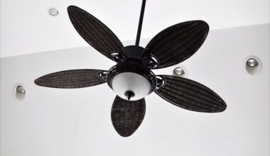 Best Ceiling Fans Reviews Buying Guide A Goodly Home Blog,Ginger Drink