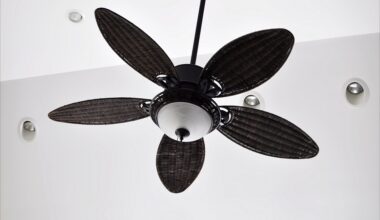 Tower Fans Vs Stand Fans Vs Ceiling Fans Vs Floor Fans