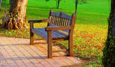best outdoor storage benches