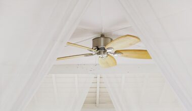 How To Clean Ceiling Fan Blades Here Are 4 Ways To Do It