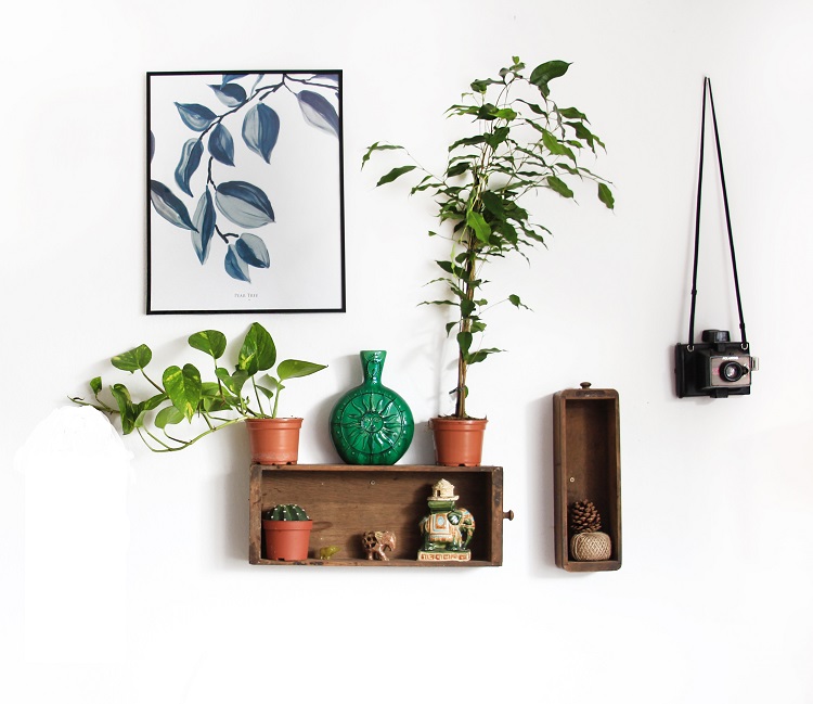 shelf and decor