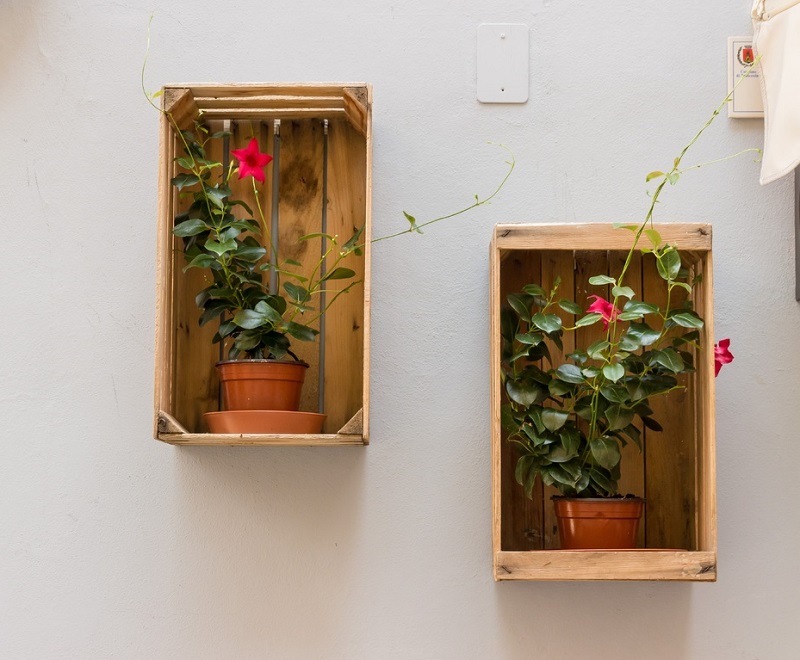 wooden shelf