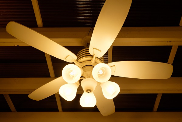 Ceiling Fan