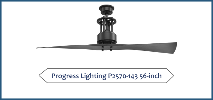 Progress Lighting P2570-143 56-inch
